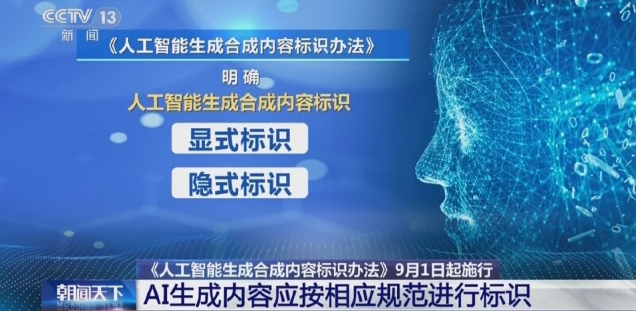 法办